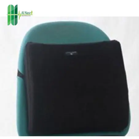 [17042024] VNB01 Waist Support Pillow    